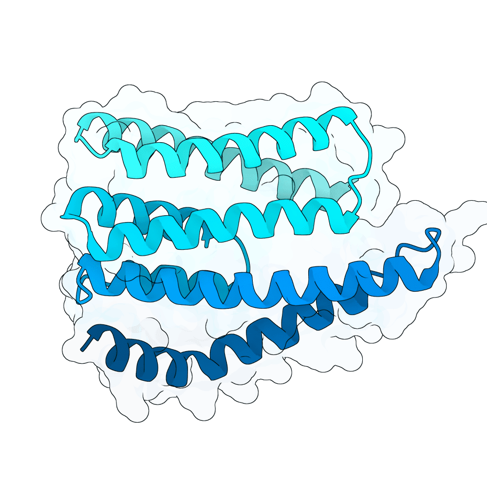 golden-jaguar-willow