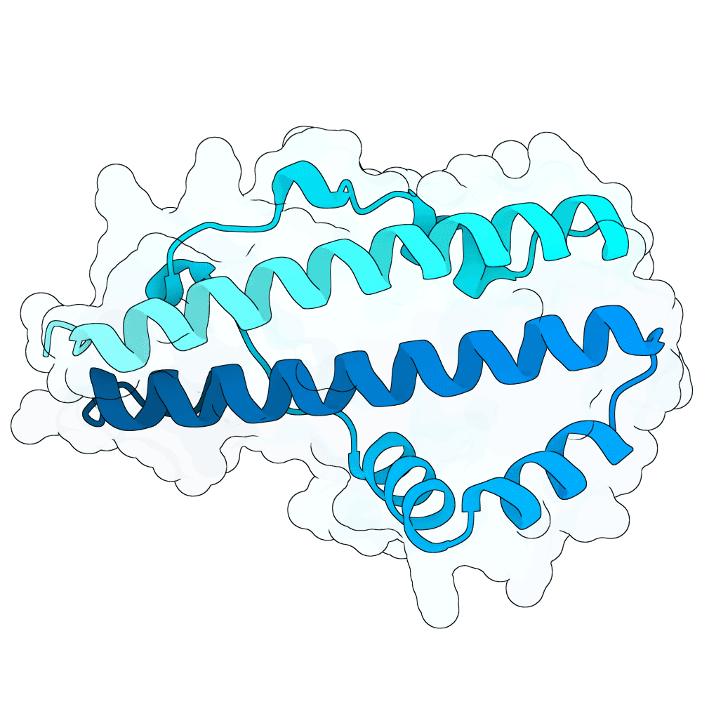 scarlet-vole-cypress