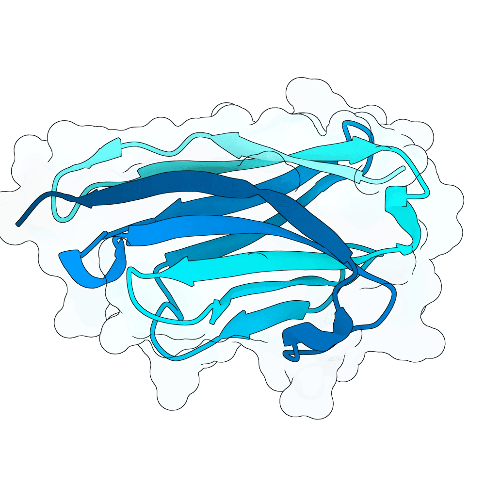 bright-zebra-cloud