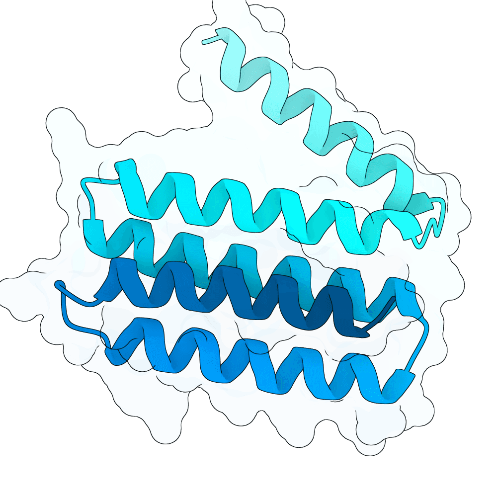 brisk-lynx-opal