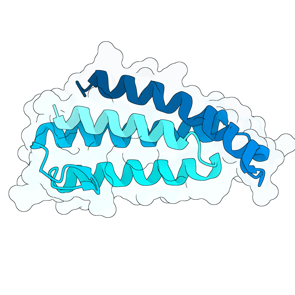 azure-jaguar-cedar