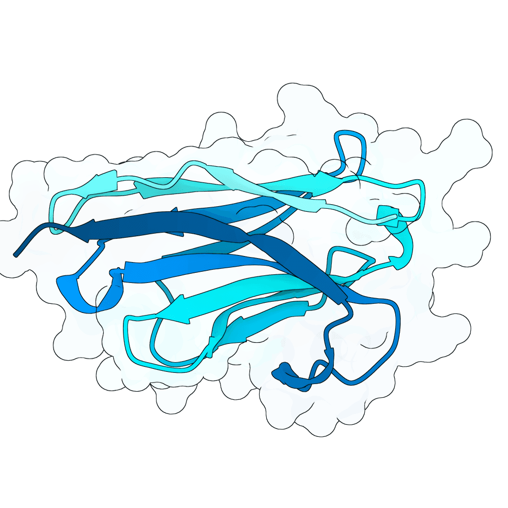 frozen-shark-frost