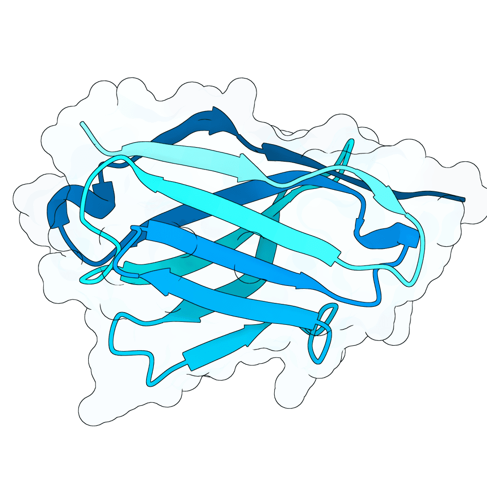 solid-fox-wave