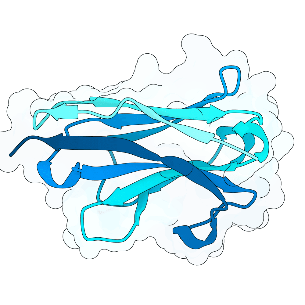 soft-owl-topaz