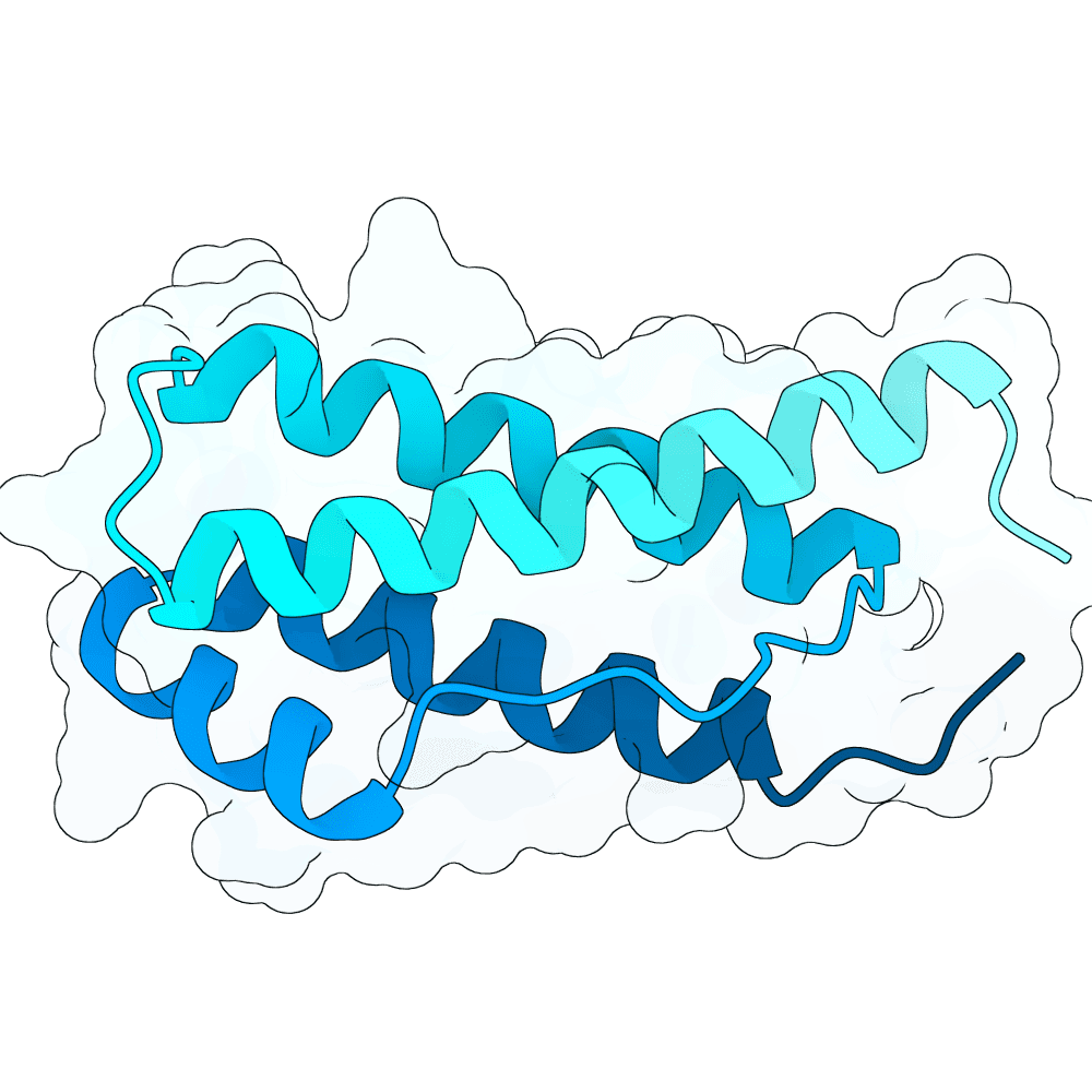 azure-gecko-cedar