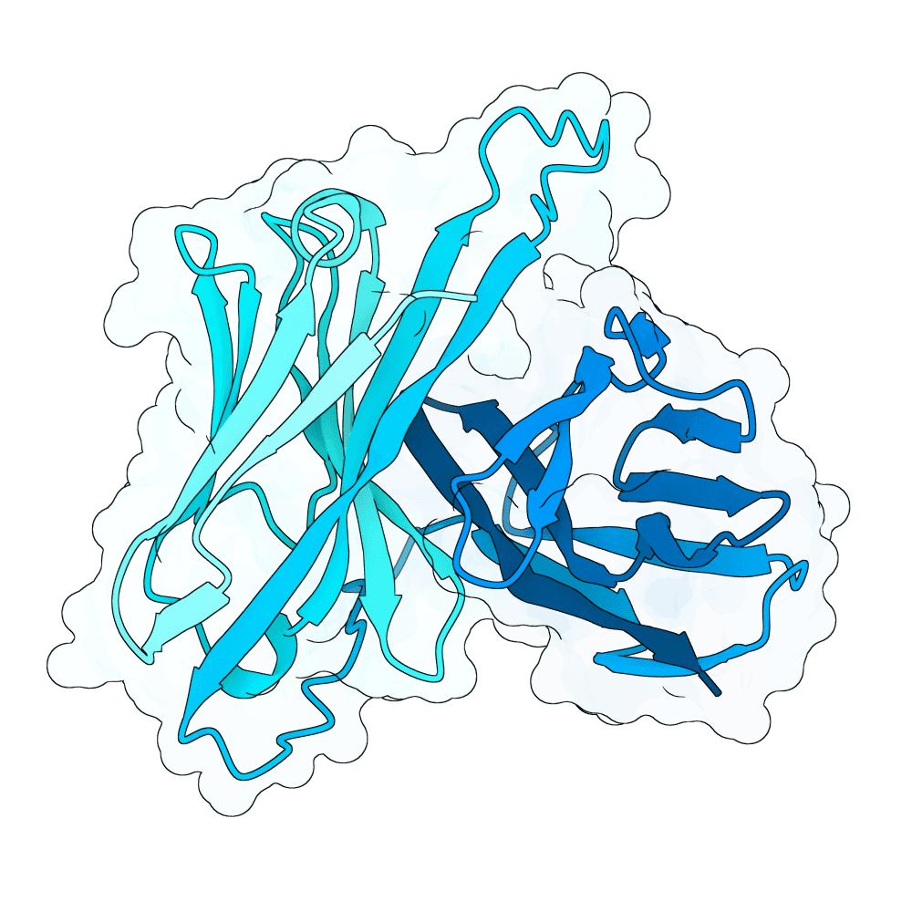 swift-toad-iron