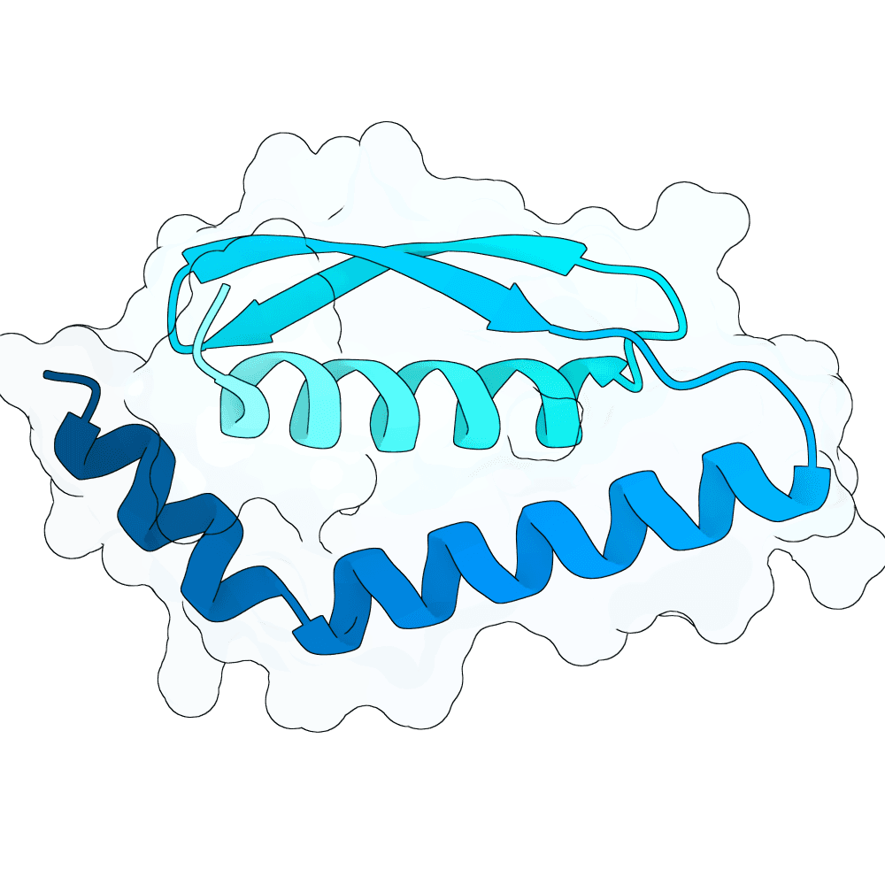 gentle-boar-ember