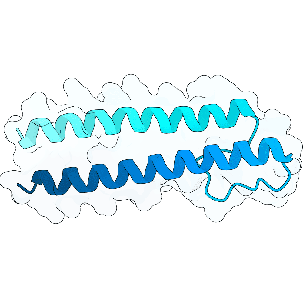 hollow-ox-leaf