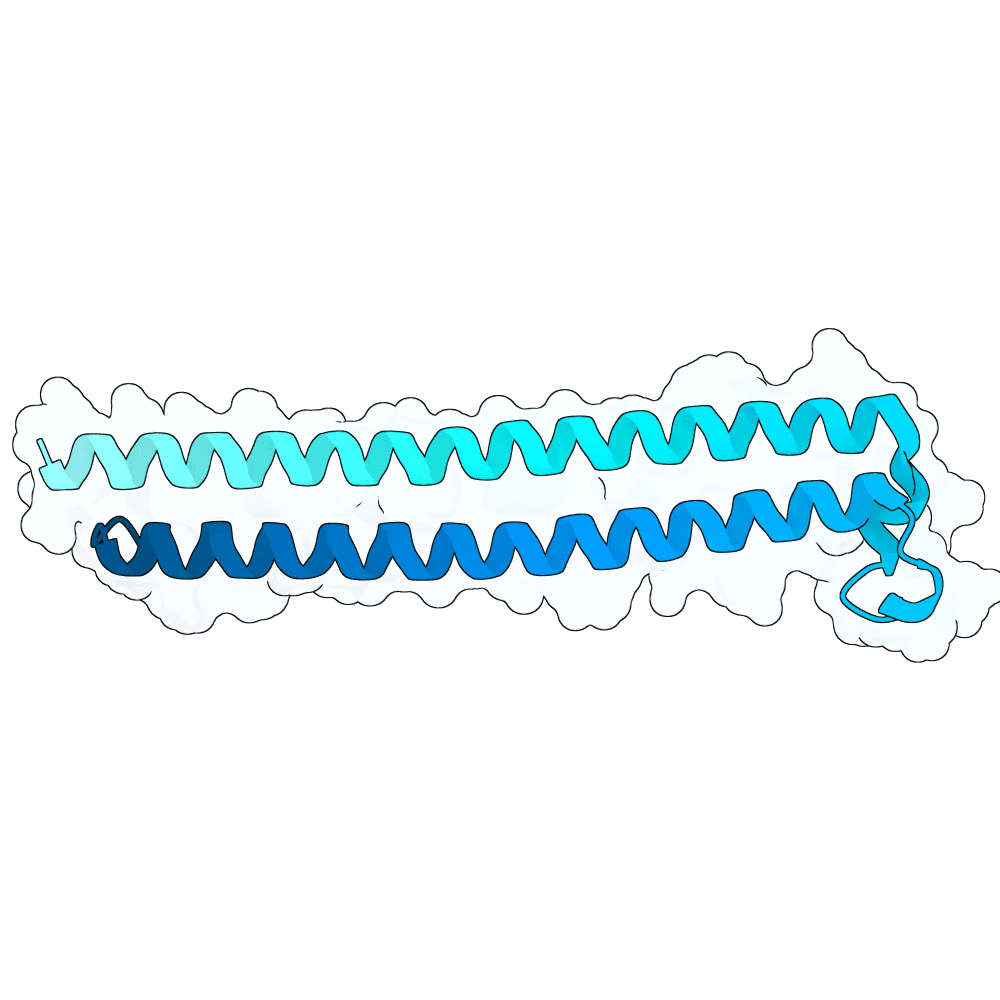 silver-shark-dust