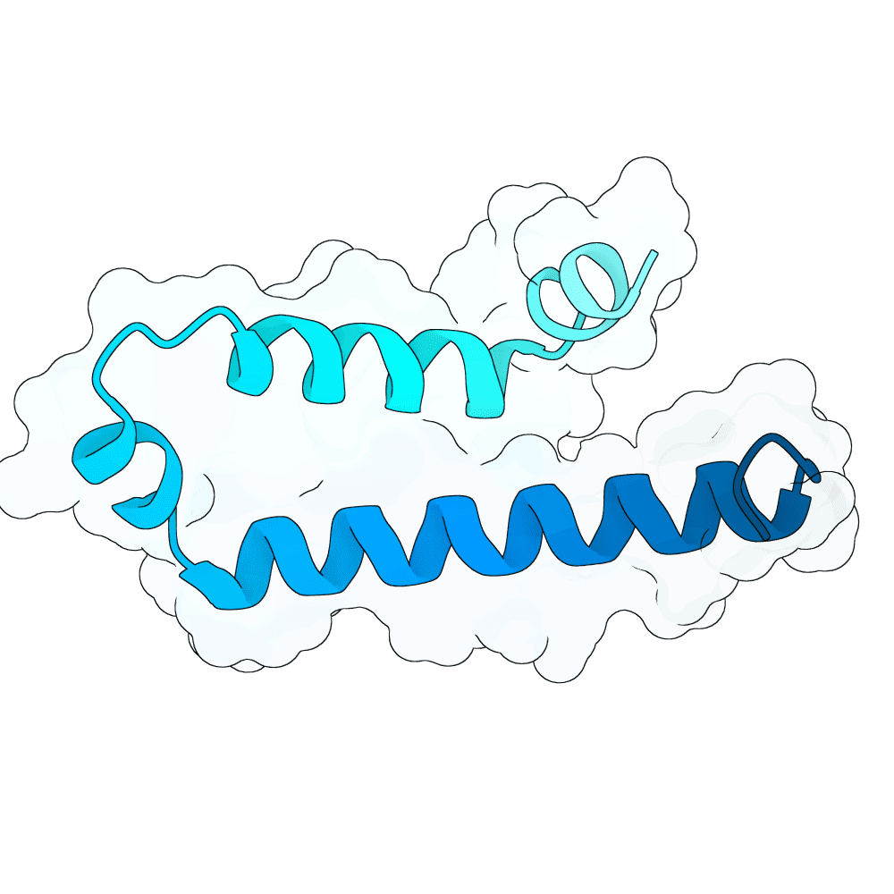 vast-seal-topaz