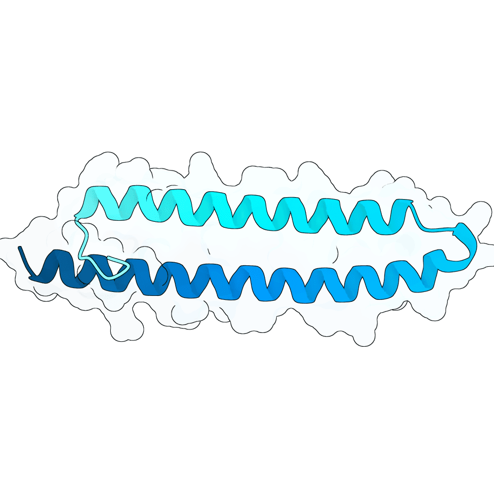 rapid-ant-ivy