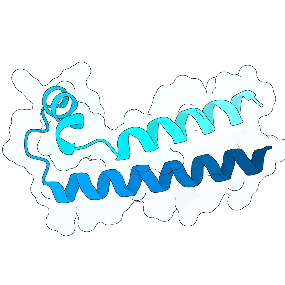 radiant-eagle-moss