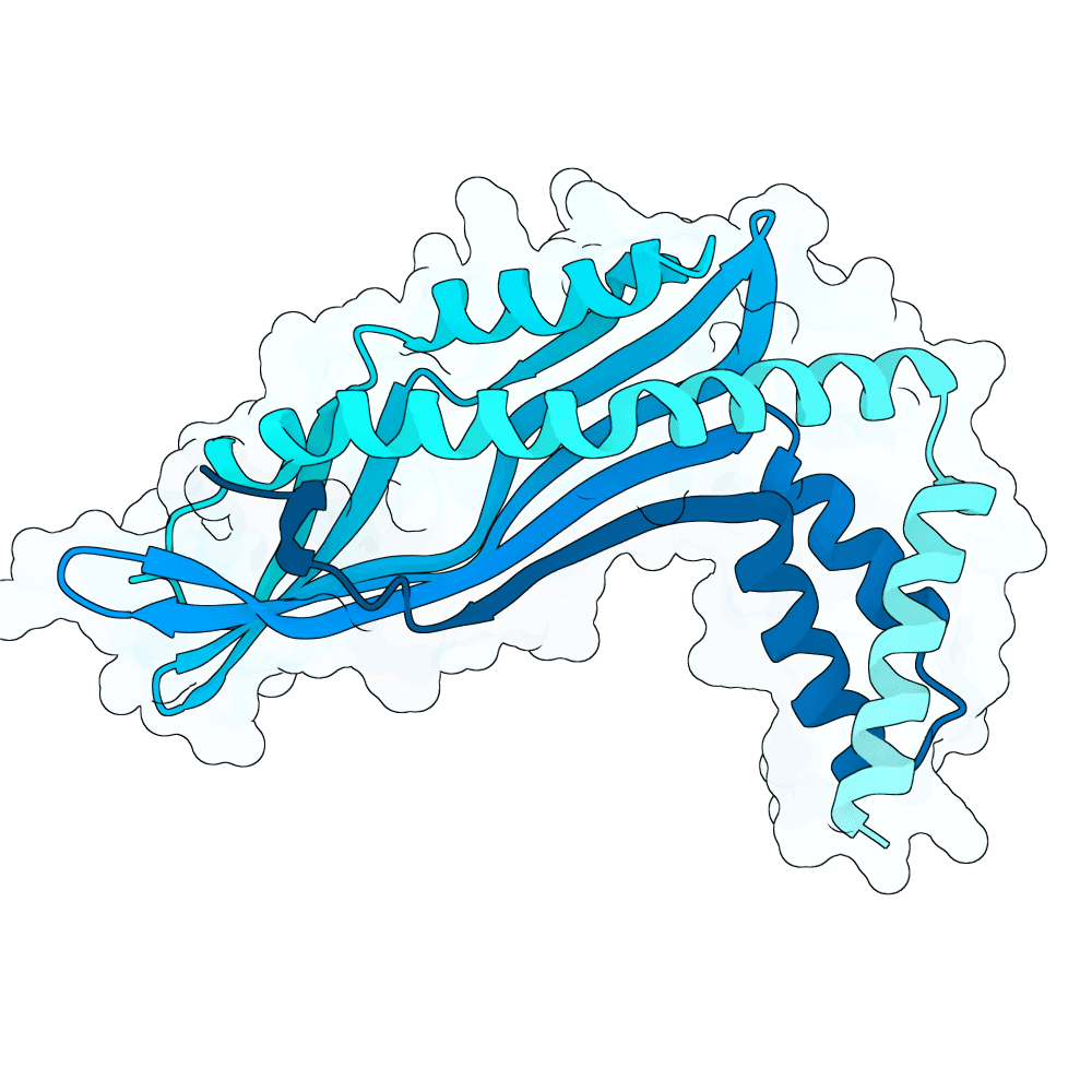 jade-deer-wave