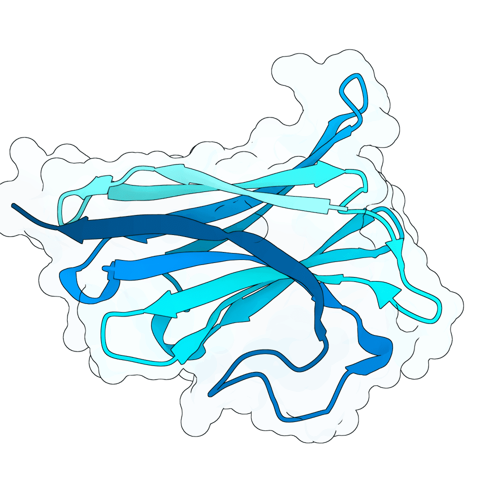 Protein preview calm-wolf-flint