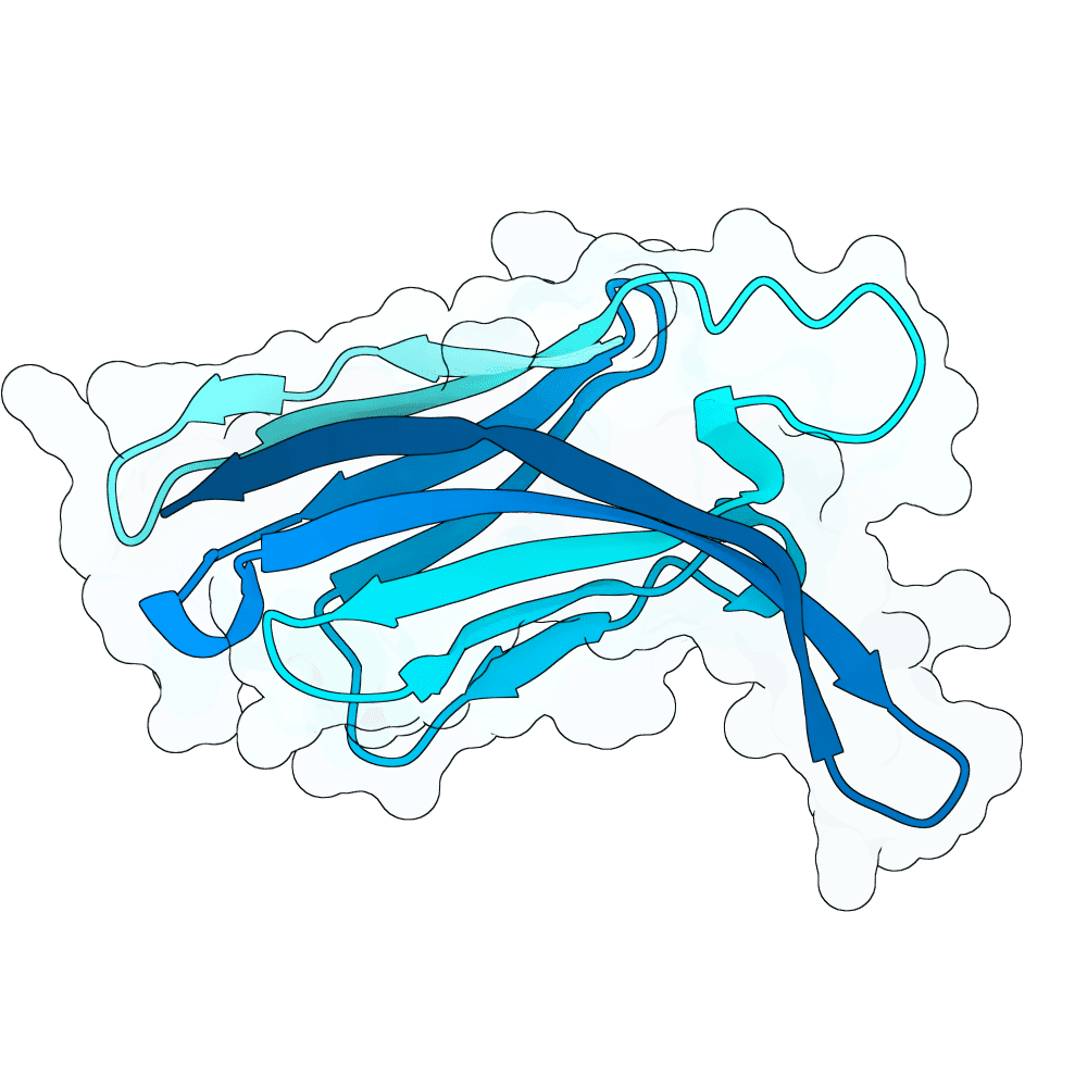 Protein preview bright-ant-flint