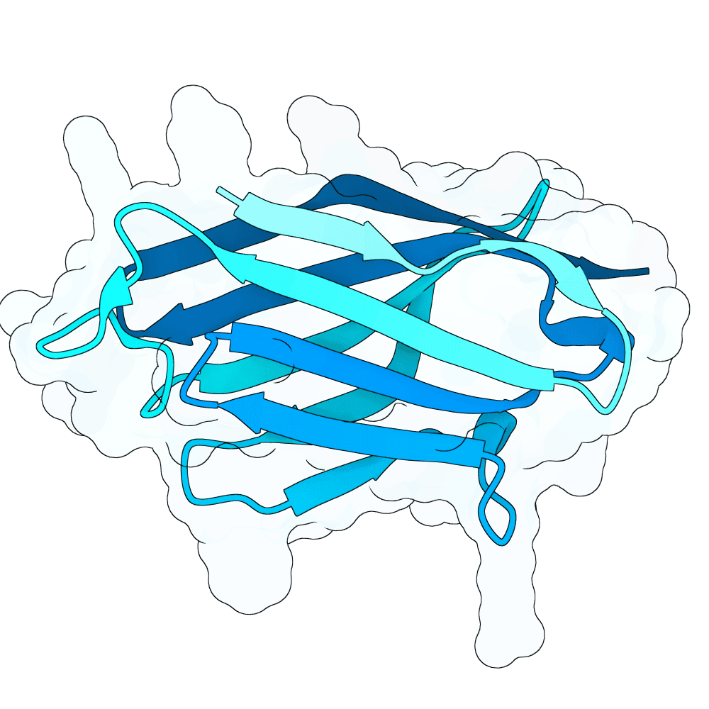 Protein preview dark-goat-frost