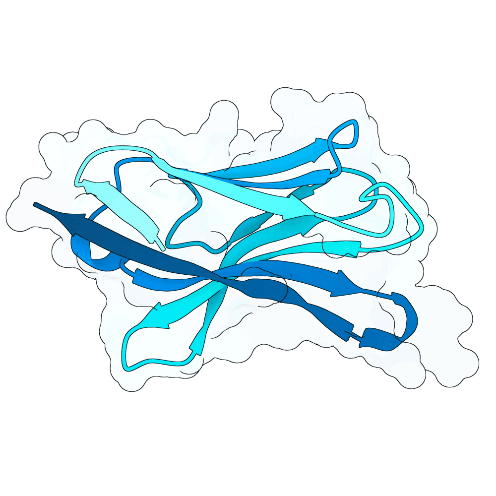 Protein preview swift-shark-reed