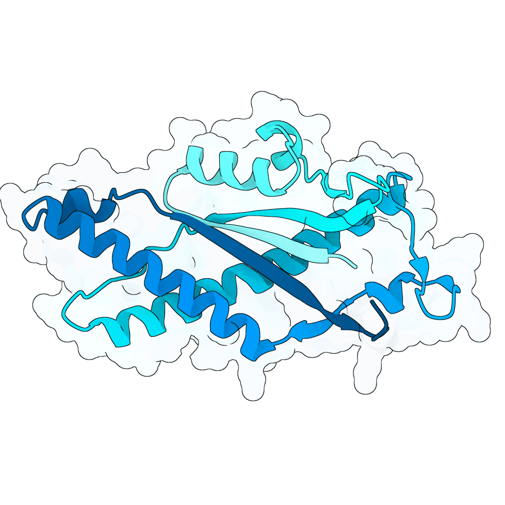 crimson-wolf-stone