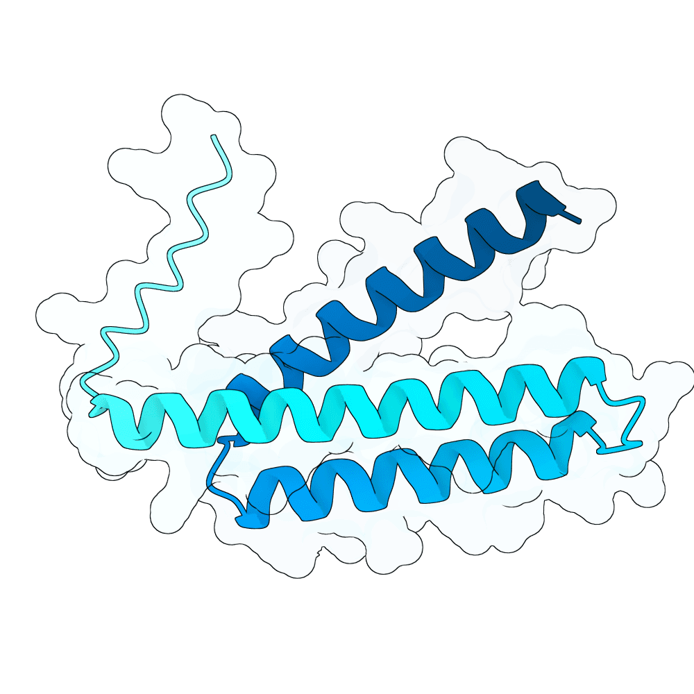 solid-bee-wave