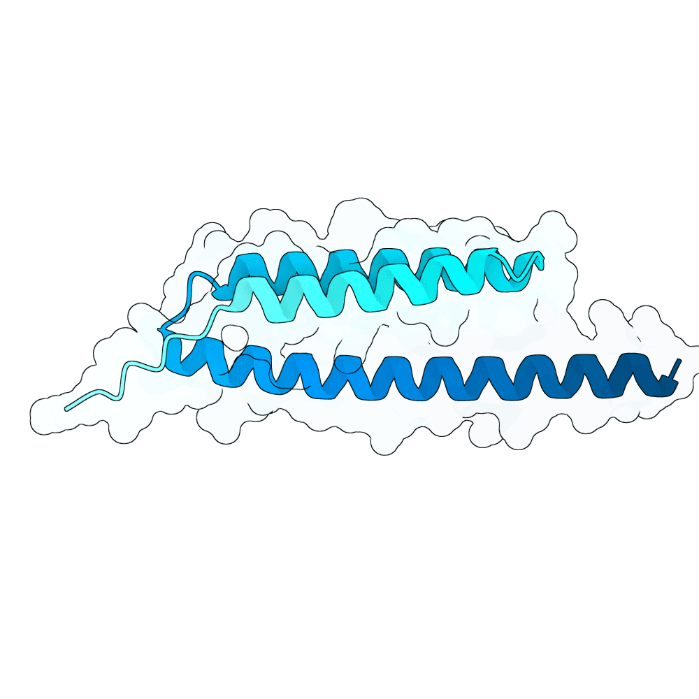 gentle-swan-thorn