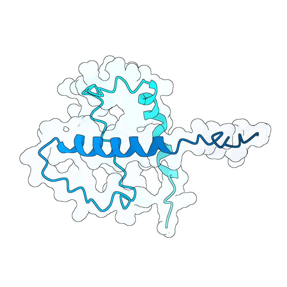 frozen-lion-sand