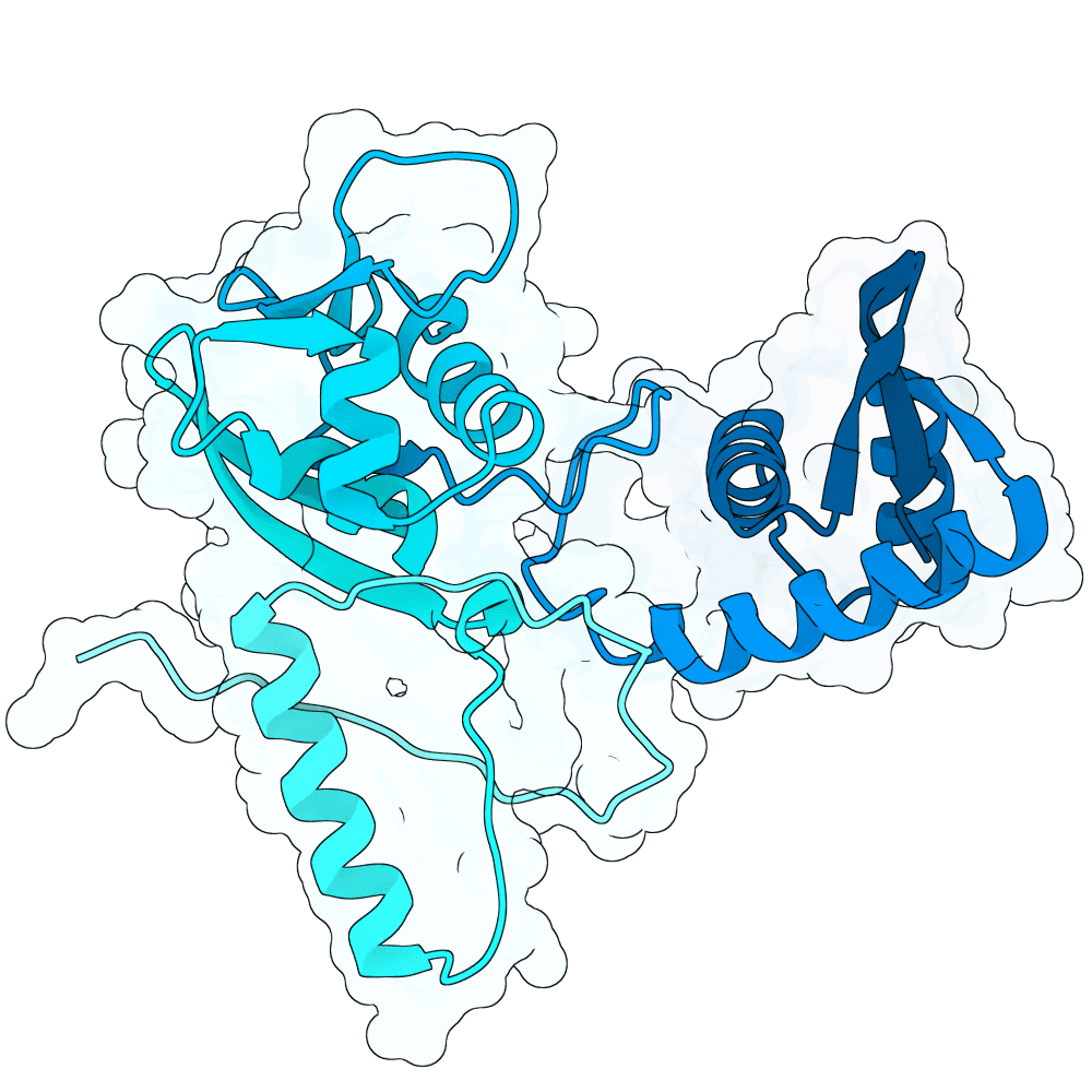 small-lion-opal