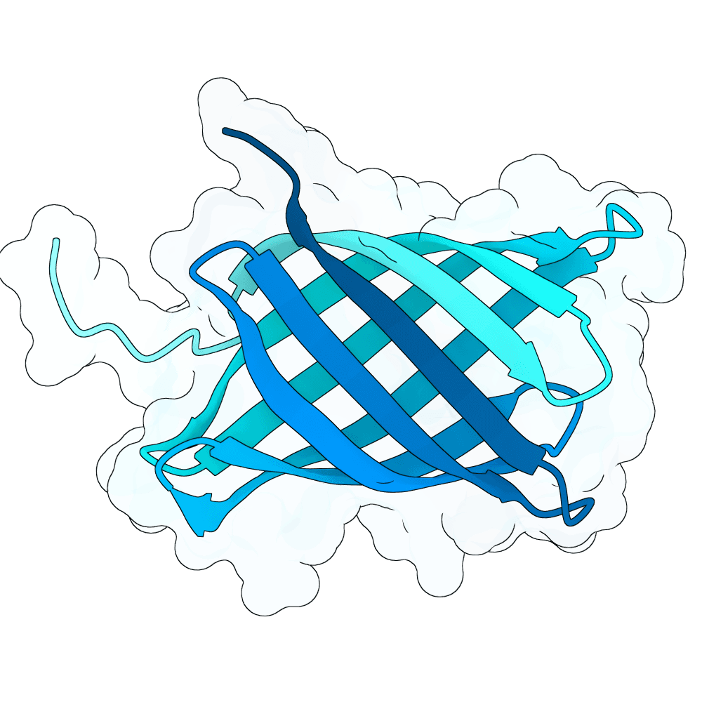 Protein preview silent-hawk-lotus