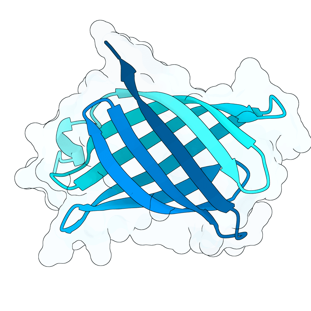 Protein preview swift-eagle-lotus