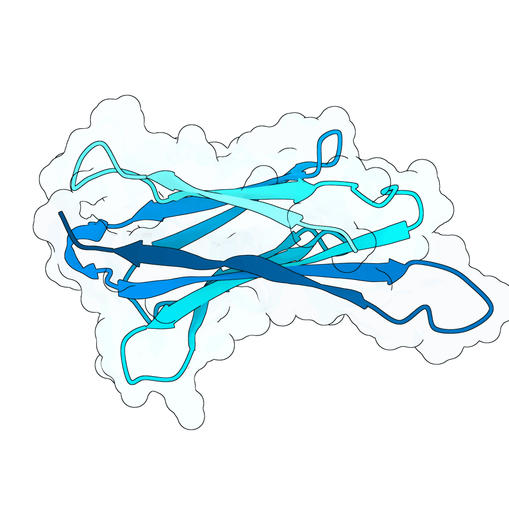 Protein preview silent-bat-snow