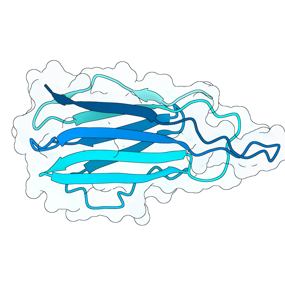 Protein preview bright-raven-ember