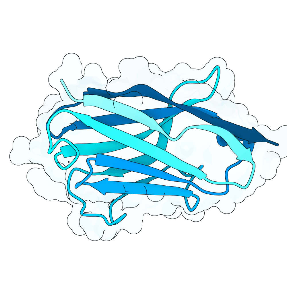 deep-bison-ice