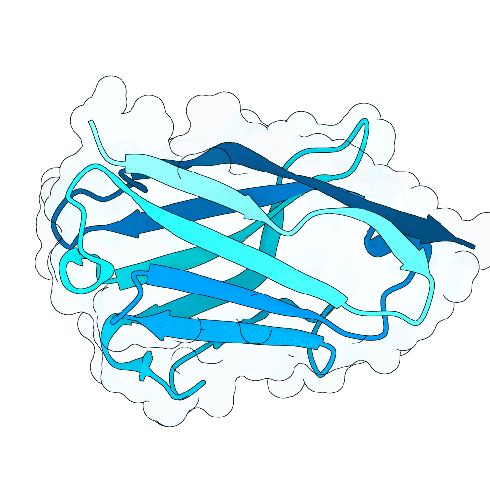 bright-bear-moss