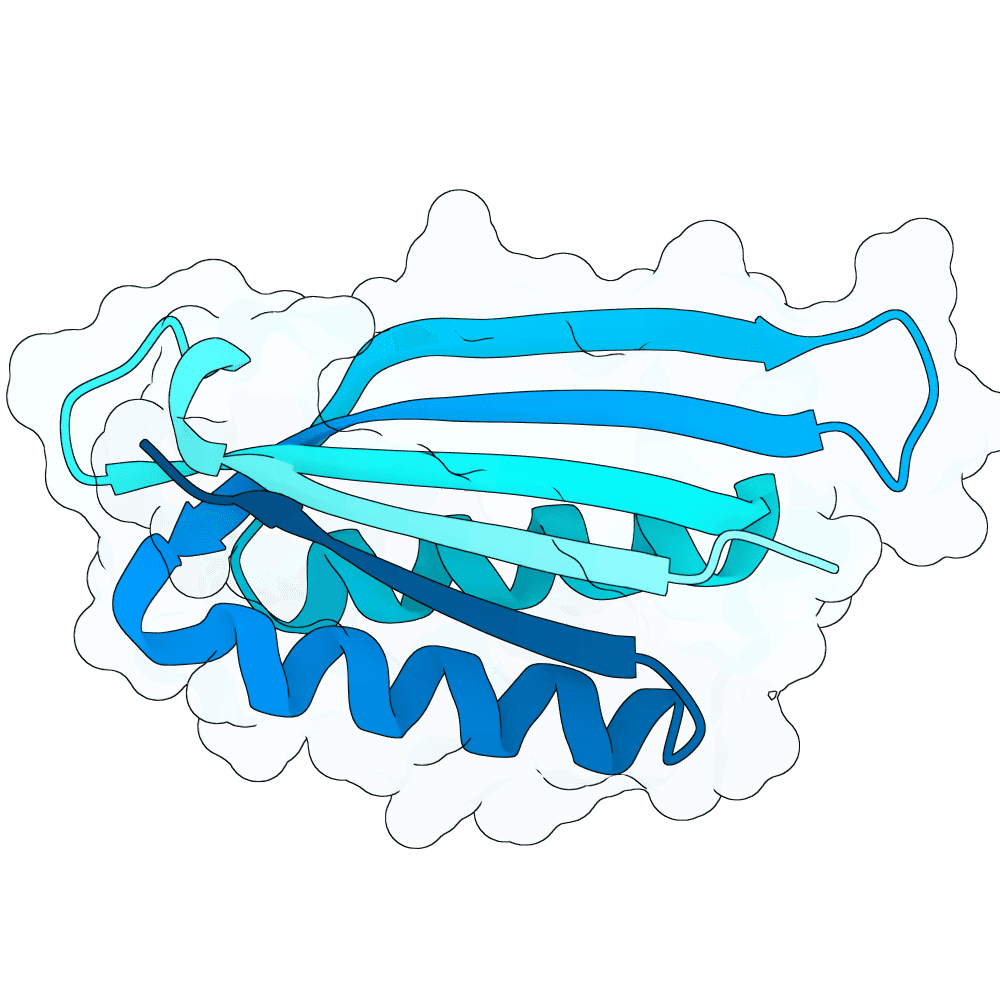 swift-gecko-thorn