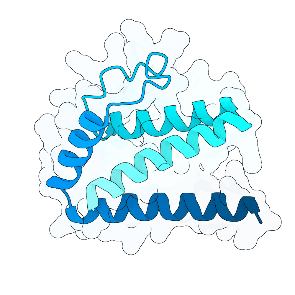 strong-ram-dust