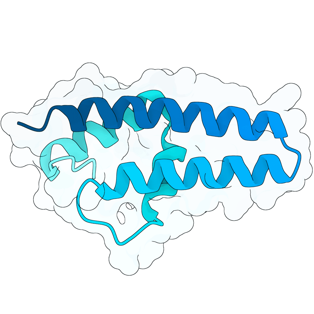 solid-panther-opal