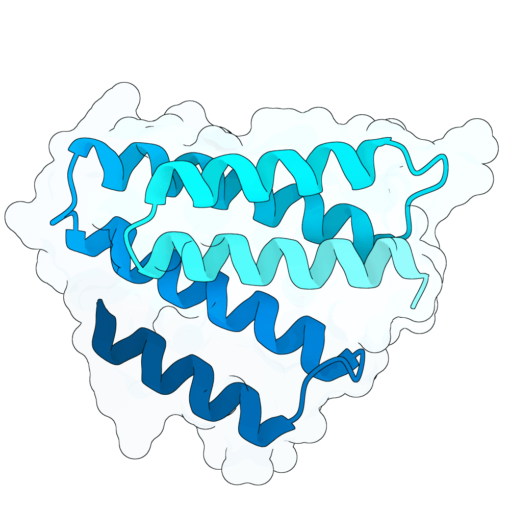 ivory-tiger-plume