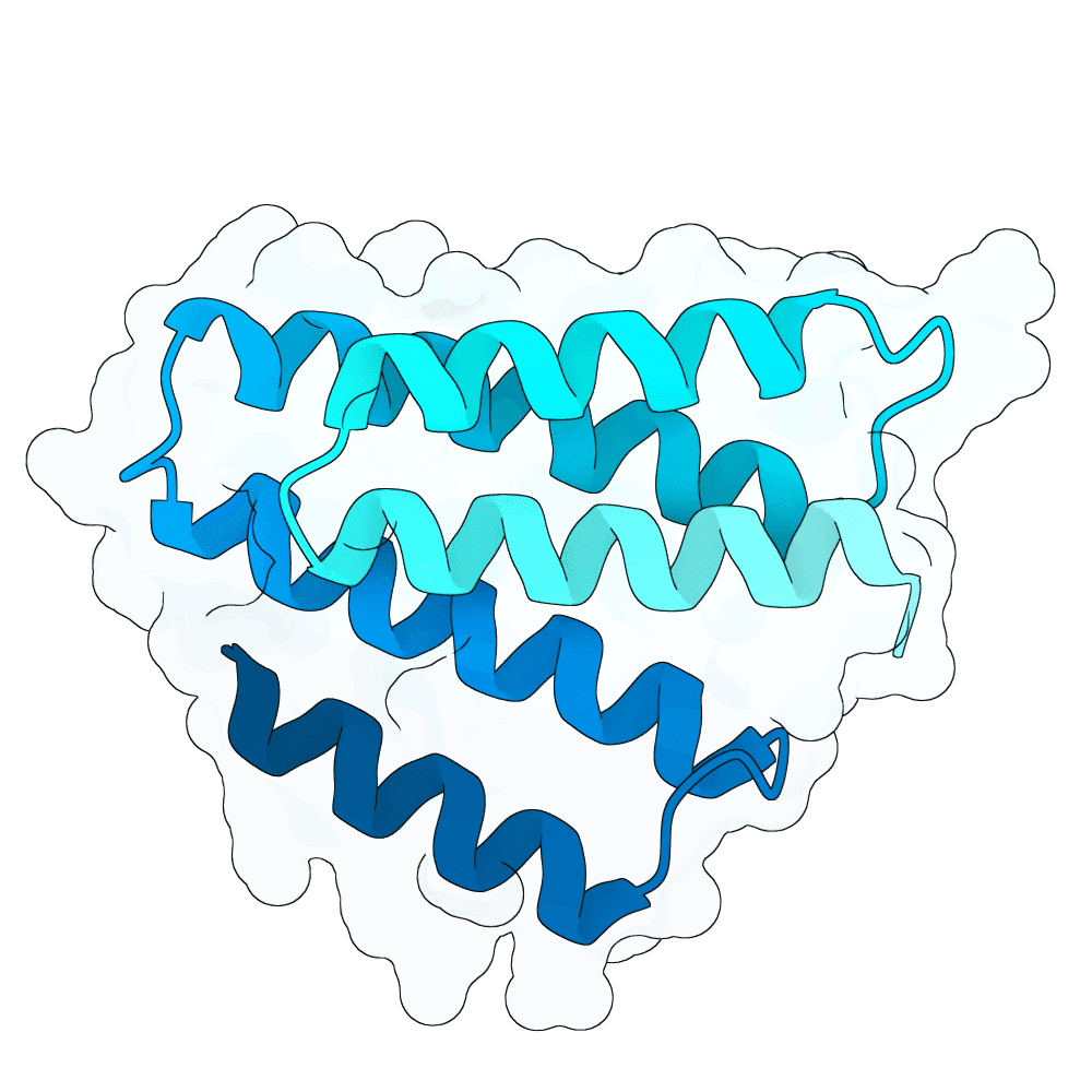 solid-orca-lava