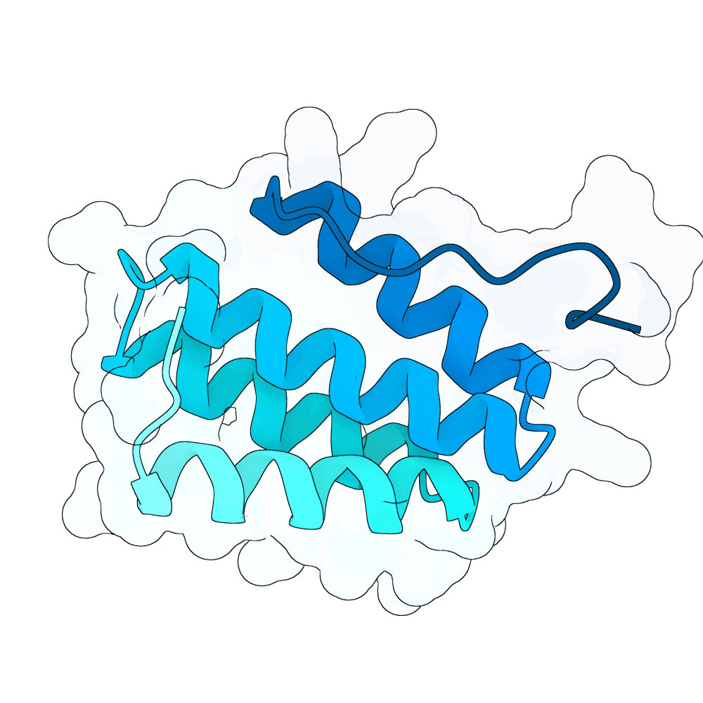 amber-kiwi-reed
