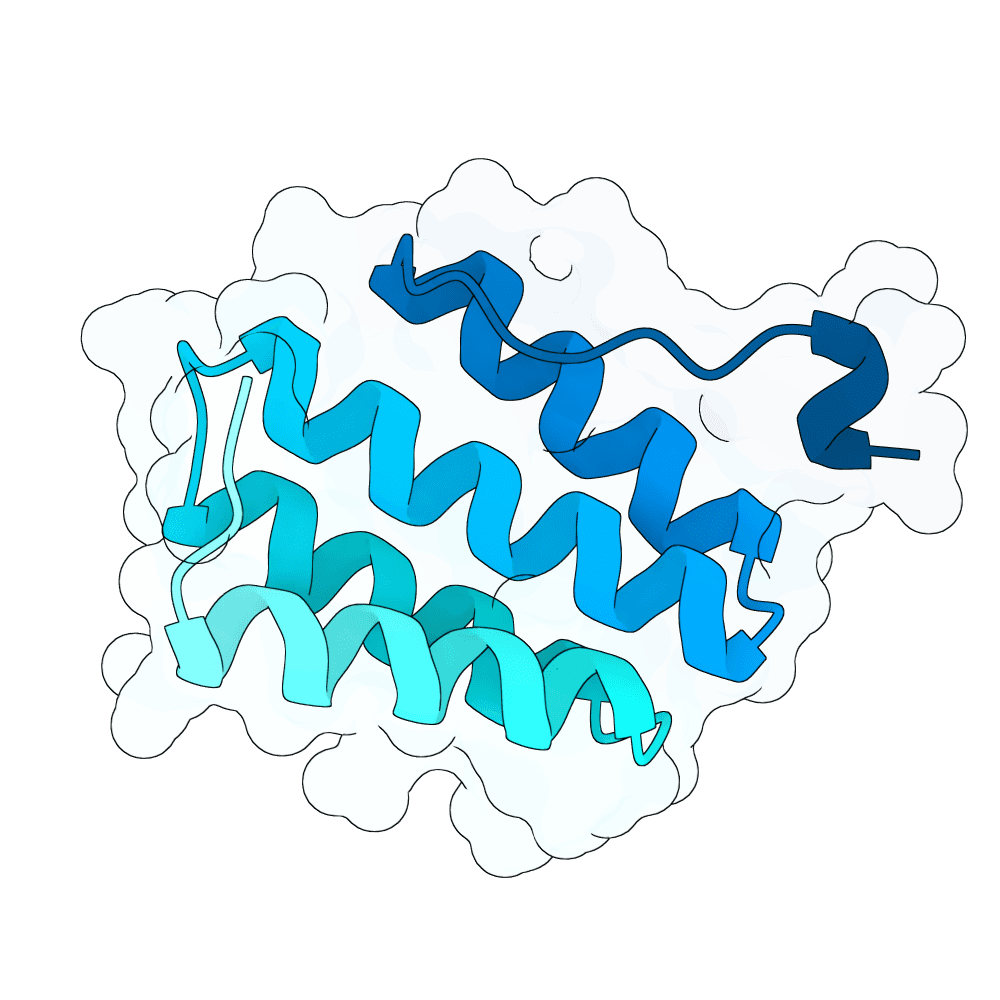 young-fox-crystal