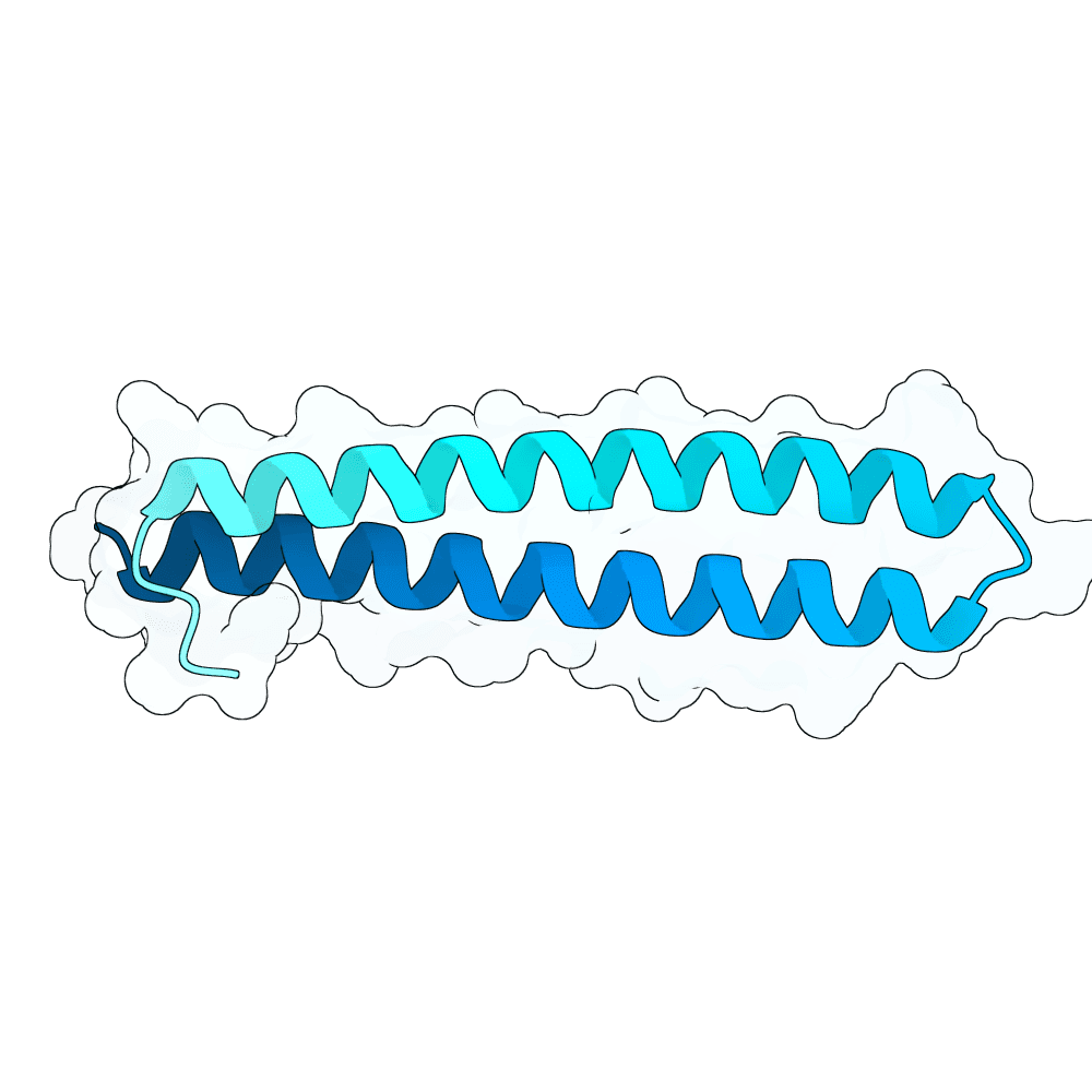 swift-ant-opal