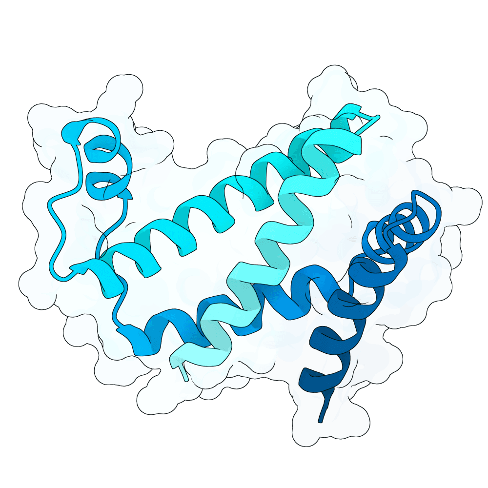radiant-deer-leaf