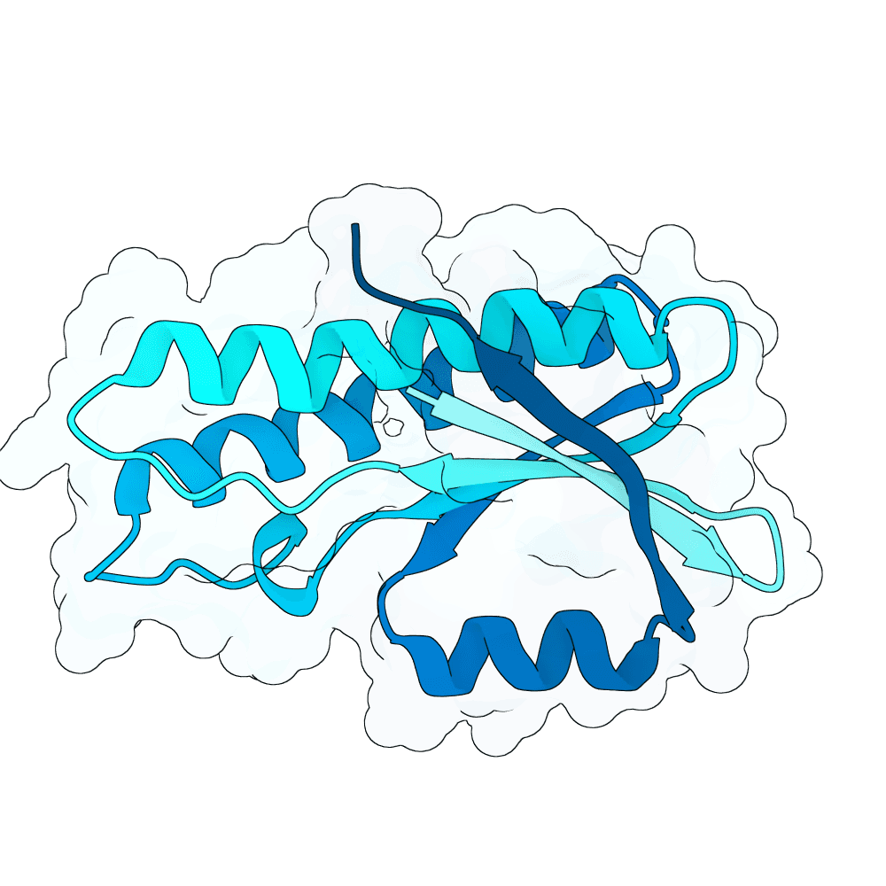 noble-crane-onyx