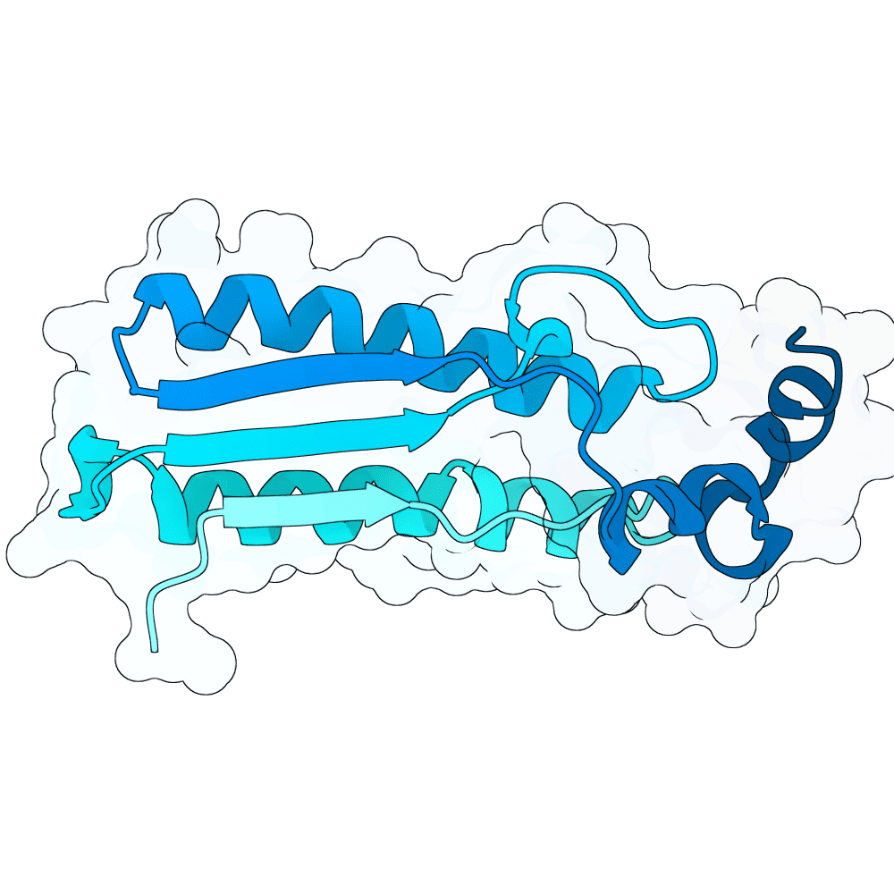 vast-shark-opal
