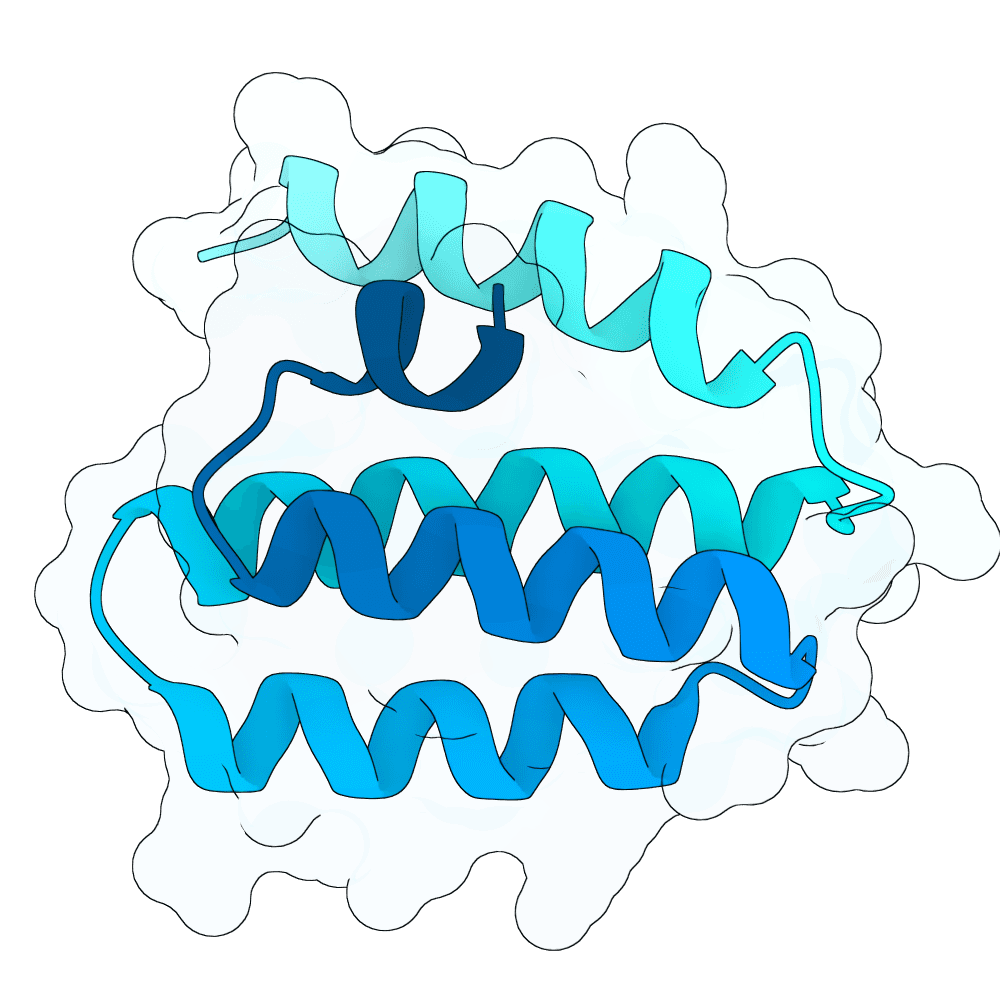 Protein preview rapid-tiger-willow