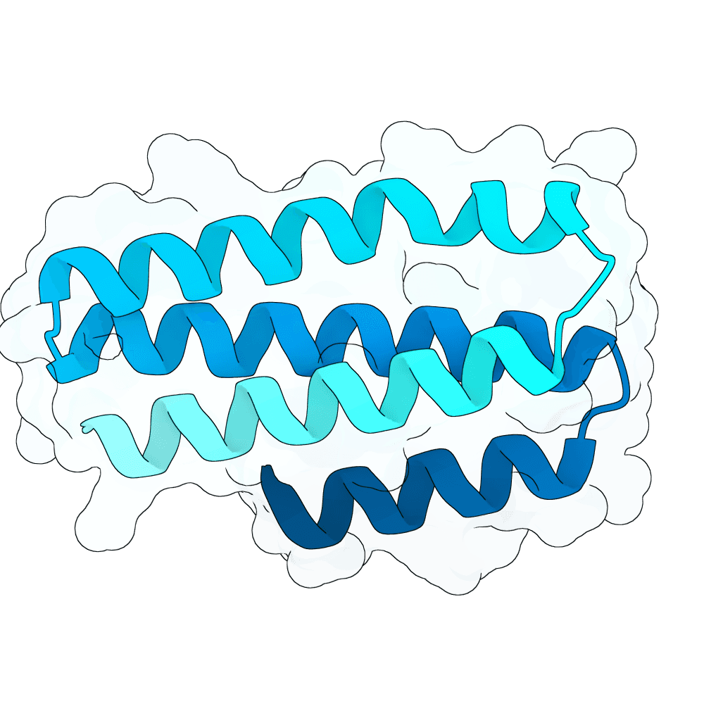 strong-cobra-opal