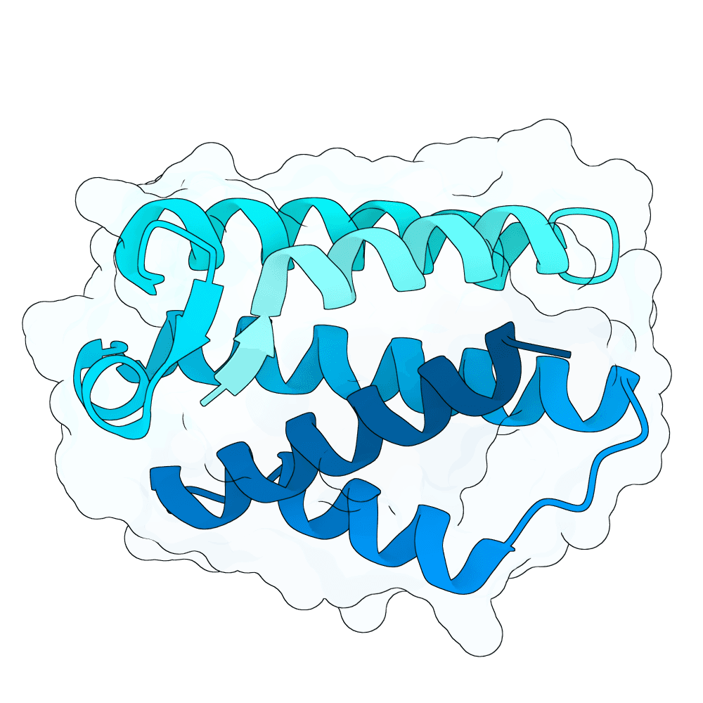 young-shark-opal