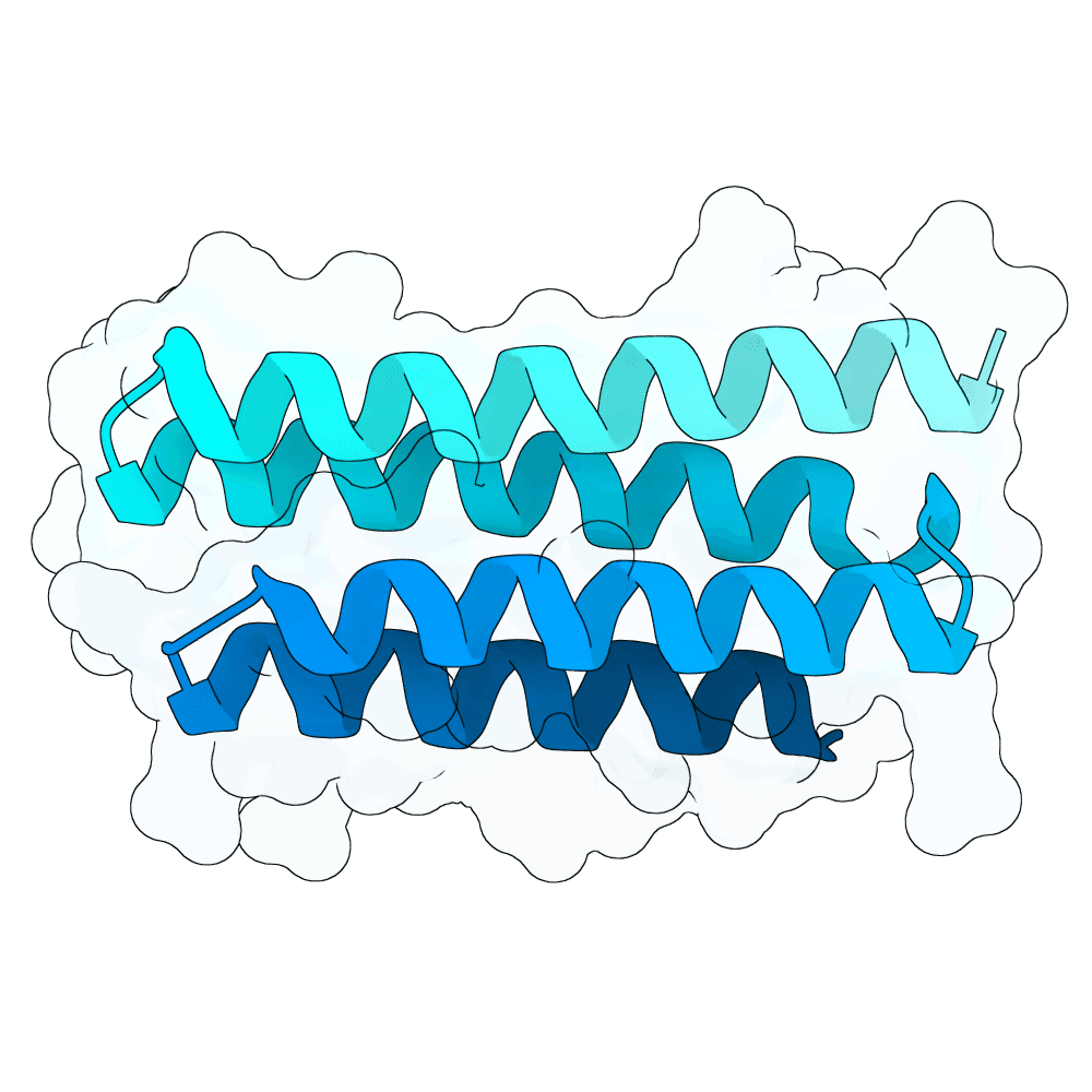 vast-yak-lotus