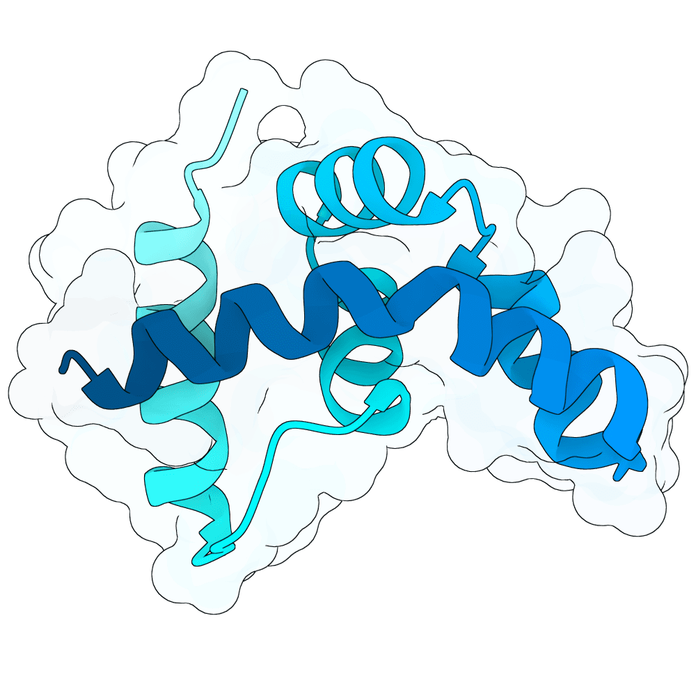 silent-ant-topaz