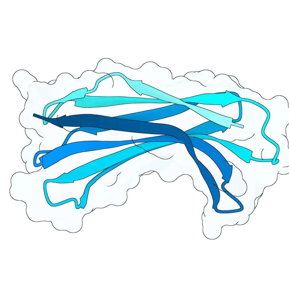 bright-seal-cloud