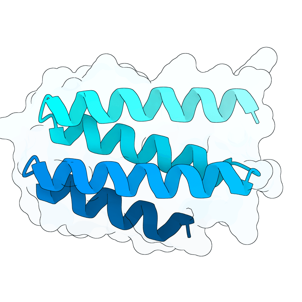 silent-ox-pine